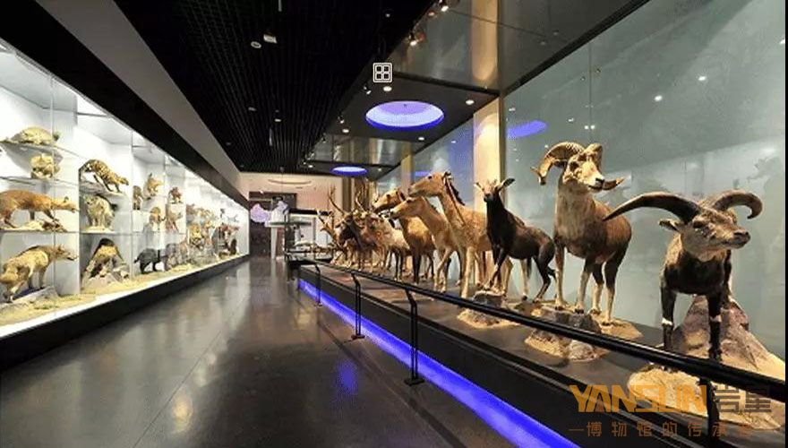 博物館展館設計方案:感受色彩對比的方法和變化的規(guī)律插圖(2)