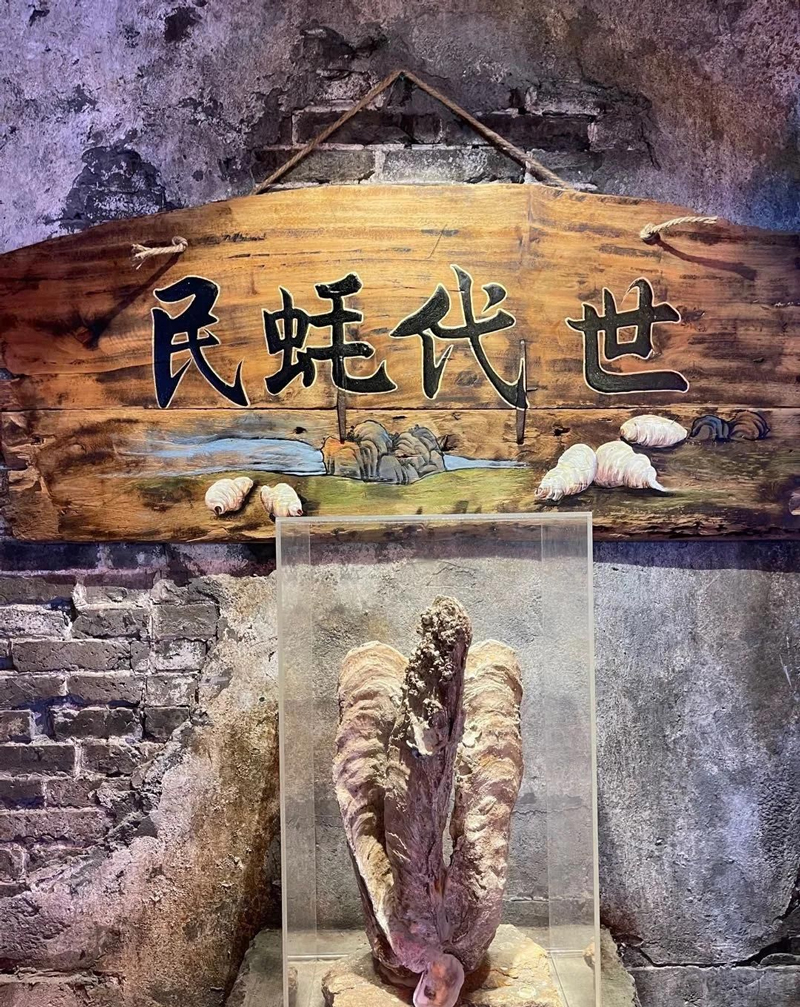 巖星特刊 ｜深圳超級文和友，“城市博物館”的擴張之路插圖(4)