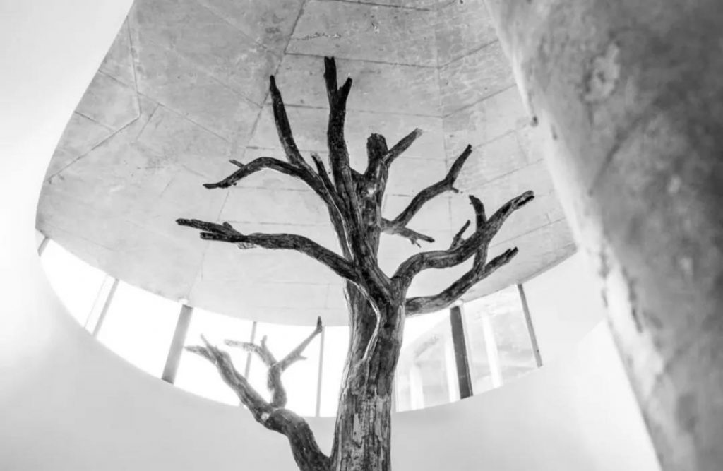 隈研吾設計安徒生博物館開幕，重新演繹丹麥童話插圖(30)