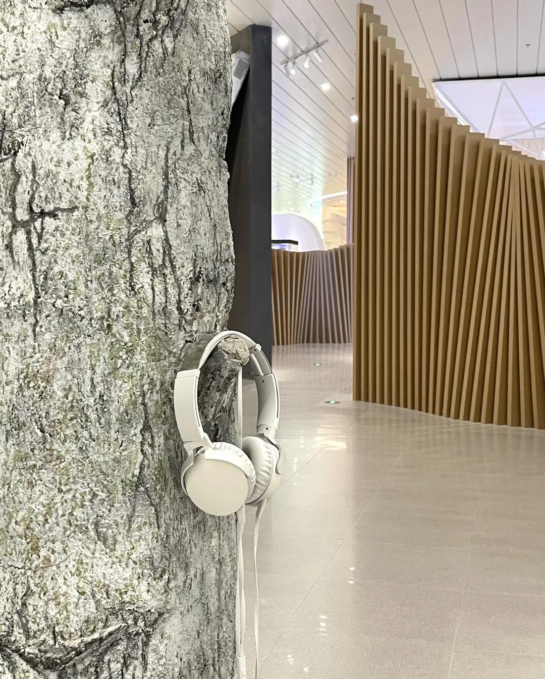 巖星特刊 | “疫苗博物館”，透過歷史切片見證偉大事業(yè)插圖(6)